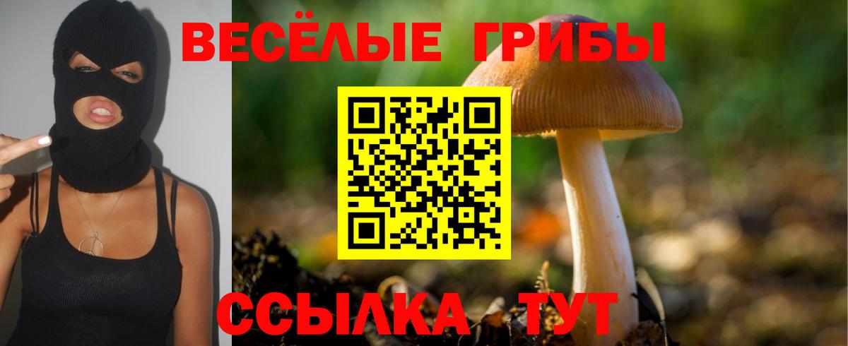 Галлюциногенные грибы Cubensis  Вход с VPN  Кудрово  Галлюциногенные грибы прущие грибы 